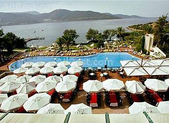 Coralia Club Milta 17